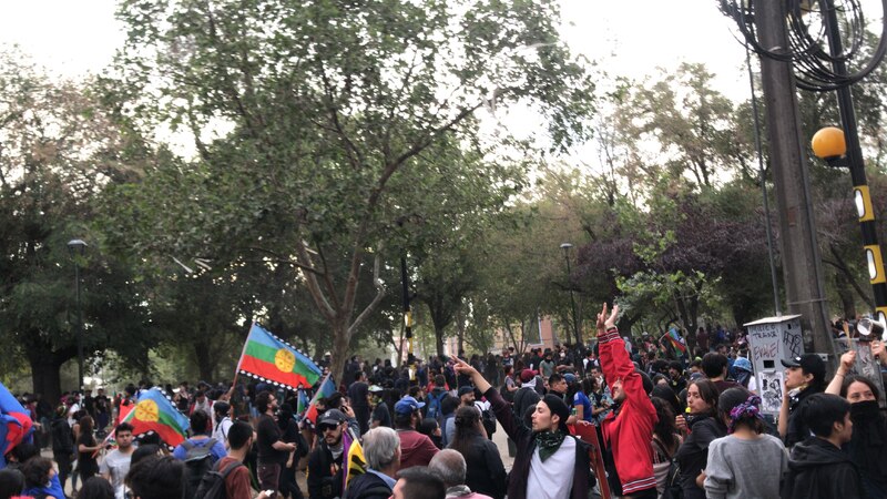 Personas reunidas en el parque