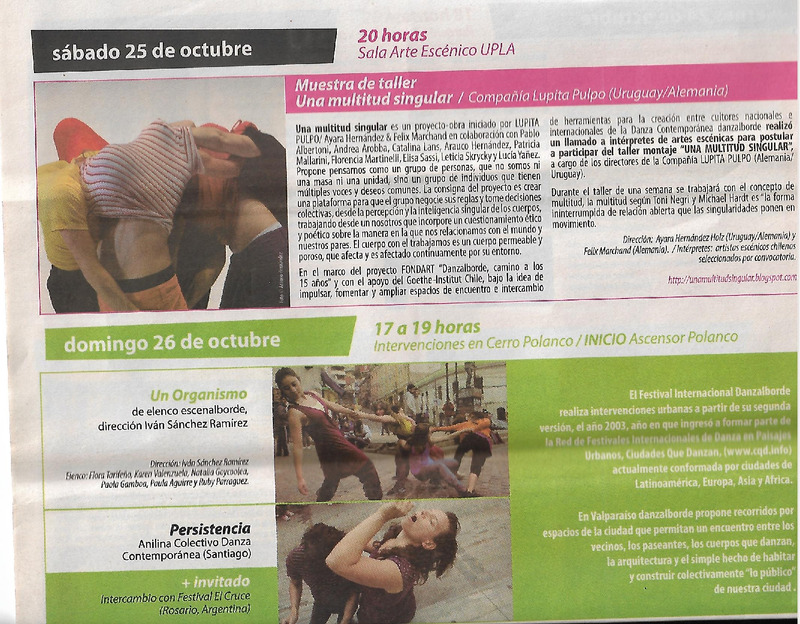 Programa del 13° Festival Internacional Danzalborde