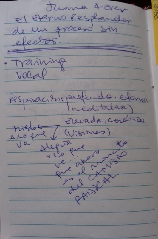 Apuntes Viviana Nass, proceso DARK 2016
