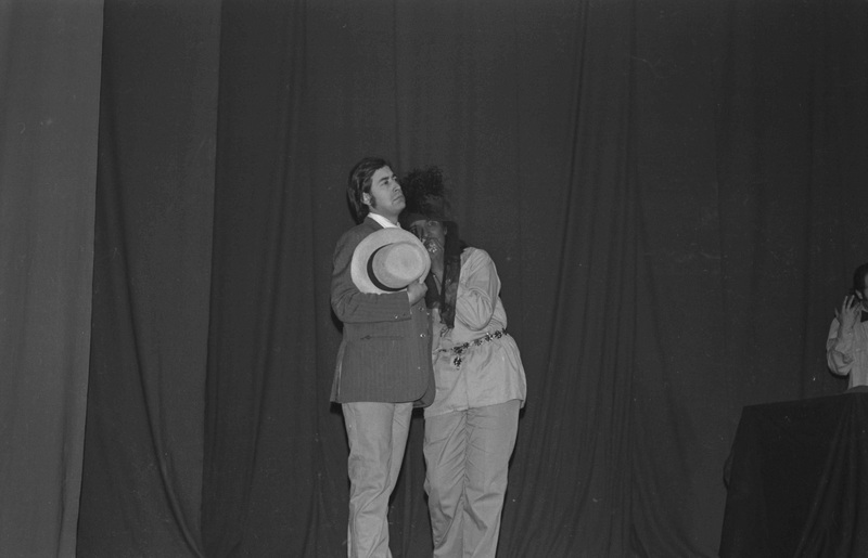 Obra "Tela de cebolla"