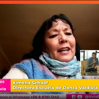 Captura video Valdi TV_XSchaaf.png