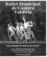 Folleto de la obra de danza "Pinceladas de Danza en el Sur"