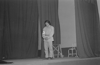 Obra "Tela de cebolla"