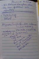 Apuntes Viviana Nass, proceso DARK 2016