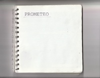 Cuaderno de trabajo obra Fulgor